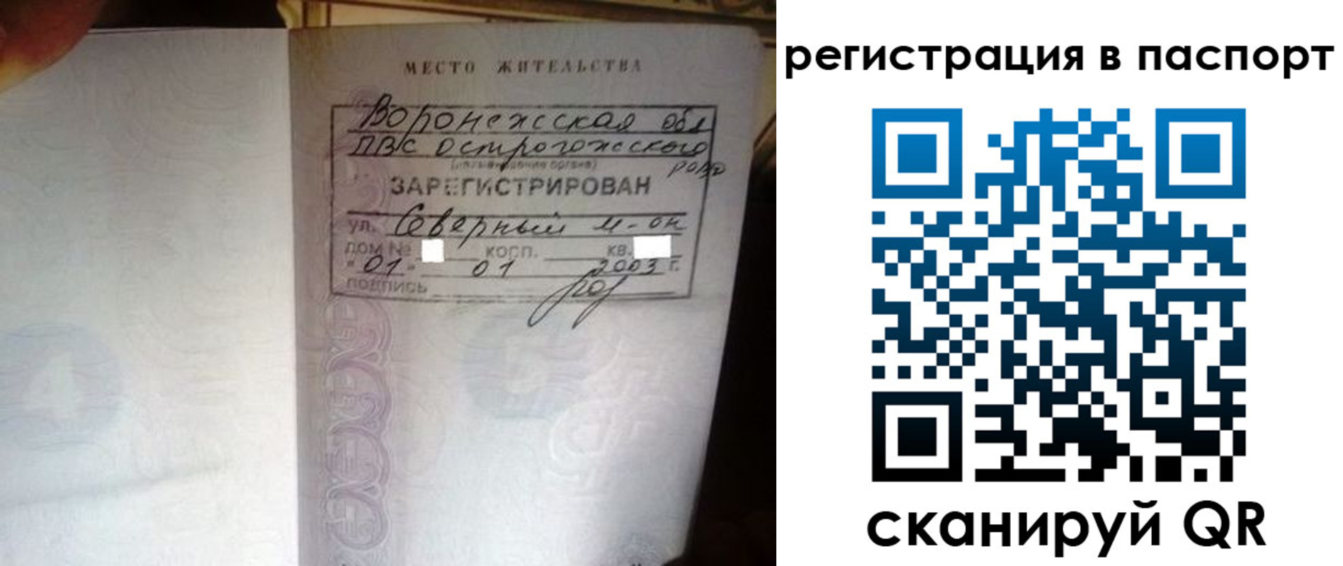 прописка для школы в Новотроицке